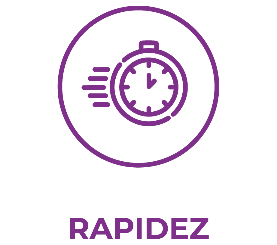 Rapidez