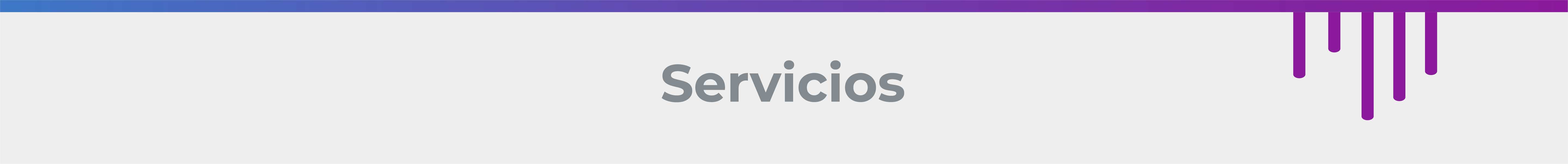 Servicios